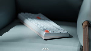 Neo80 Barebones Mechanical Keyboard