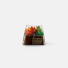 Load image into Gallery viewer, Dwarf Factory Terrarium V2 Artisan Keycaps