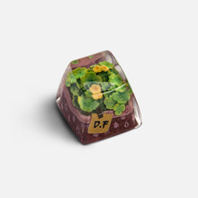 Load image into Gallery viewer, Dwarf Factory Terrarium Artisan Keycaps - Fortune Clover SA R1
