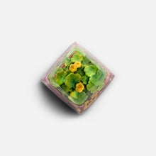 Load image into Gallery viewer, Dwarf Factory Terrarium Artisan Keycaps - Fortune Clover SA R1