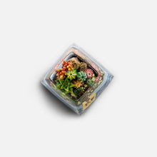 Load image into Gallery viewer, Dwarf Factory Terrarium Artisan Keycaps - Spiny Oasis SA R1